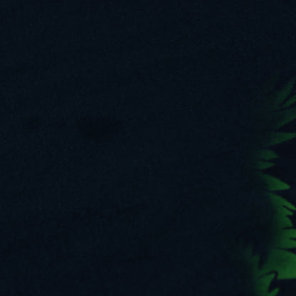 BETTY BOOP Y2K 'Boop Raider' Jungle Adventure Green T Shirt (XL)