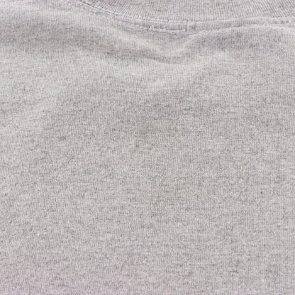 SOUTHPOLE New York Boroughs Glitter Graphic Vintage Y2K Grey T-Shirt (L TALL)