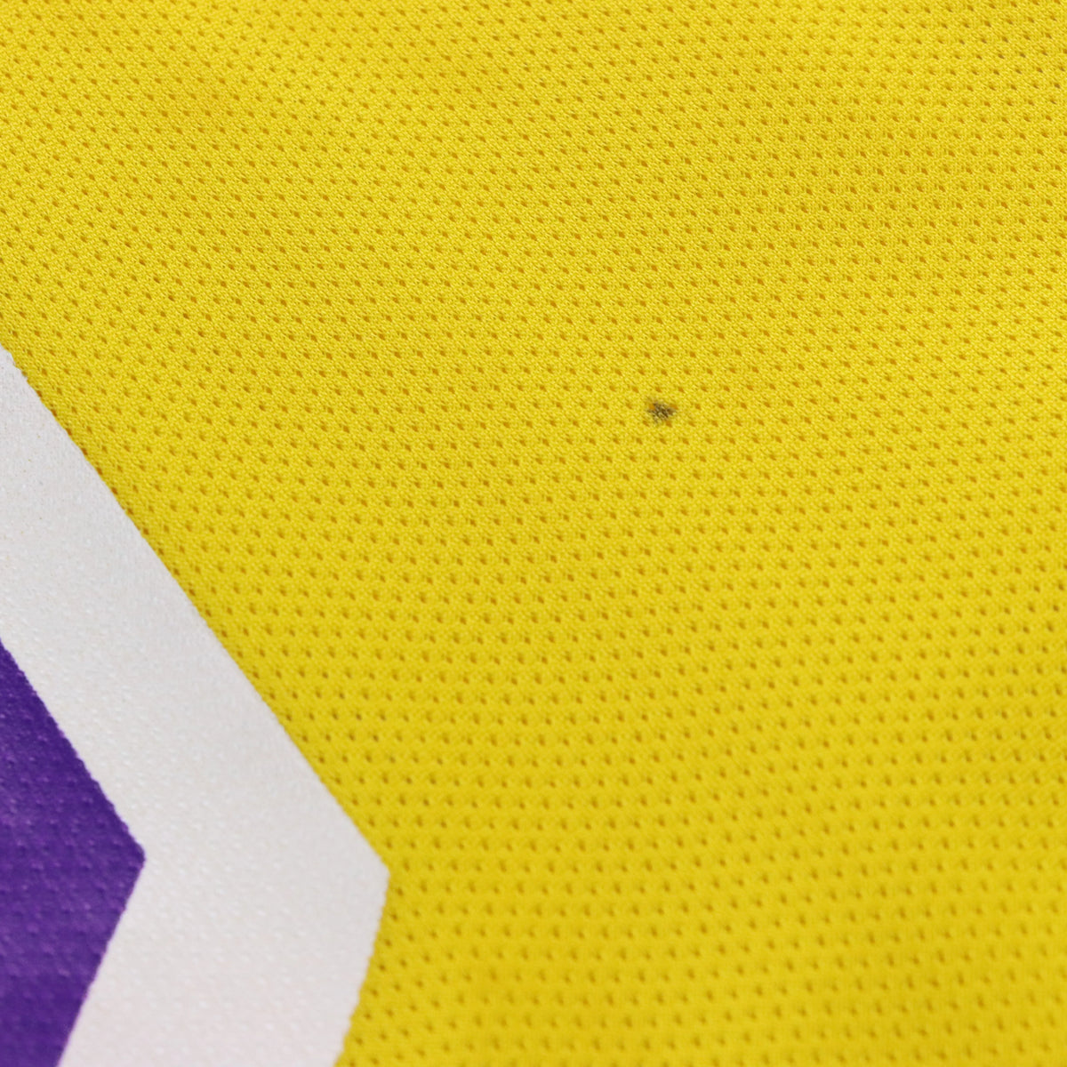 Vintage 90s CHAMPION Lakers NBA Nick Van Exel #9 Basketball Jersey (L TALL)