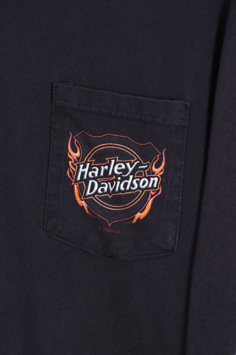 HARLEY DAVIDSON Don Waugh Eagle & Flame Detail Long Sleeve Tee (L)