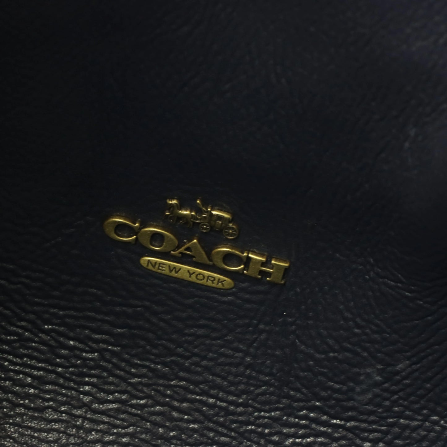 COACH Hadley 73549 Lake Blue Hobo Leather Tote Bag - Vintage Sole Melbourne