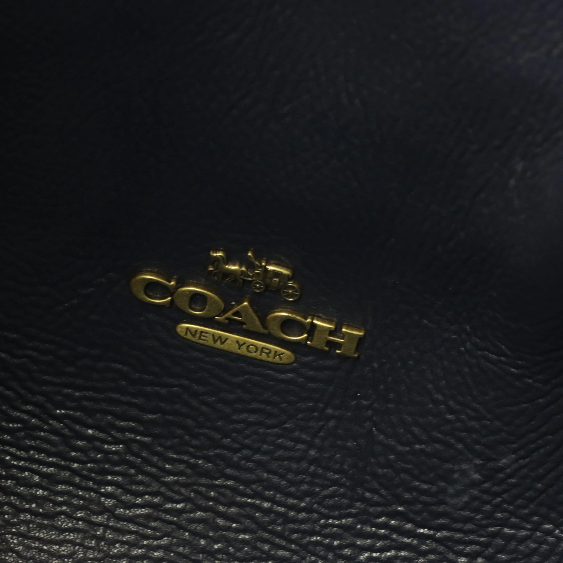 COACH Hadley 73549 Lake Blue Hobo Leather Tote Bag - Vintage Sole Melbourne