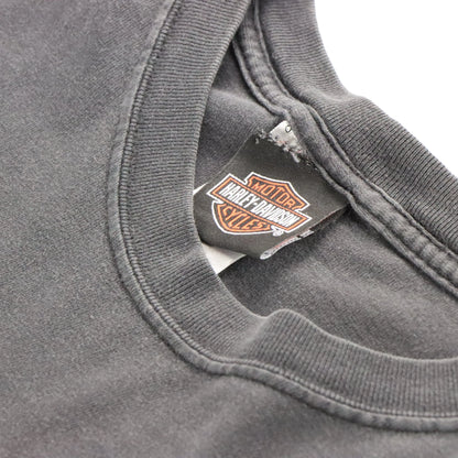 Vintage HARLEY DAVIDSON Y2K 'Low Country' Grey Faded USA Made Motorcycle T-Shirt (L)