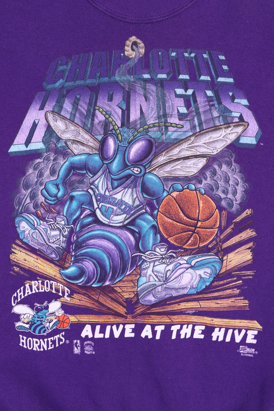 NBA Charlotte Hornets "Alive at the Hive" SALEM Sweatshirt USA Made (S)