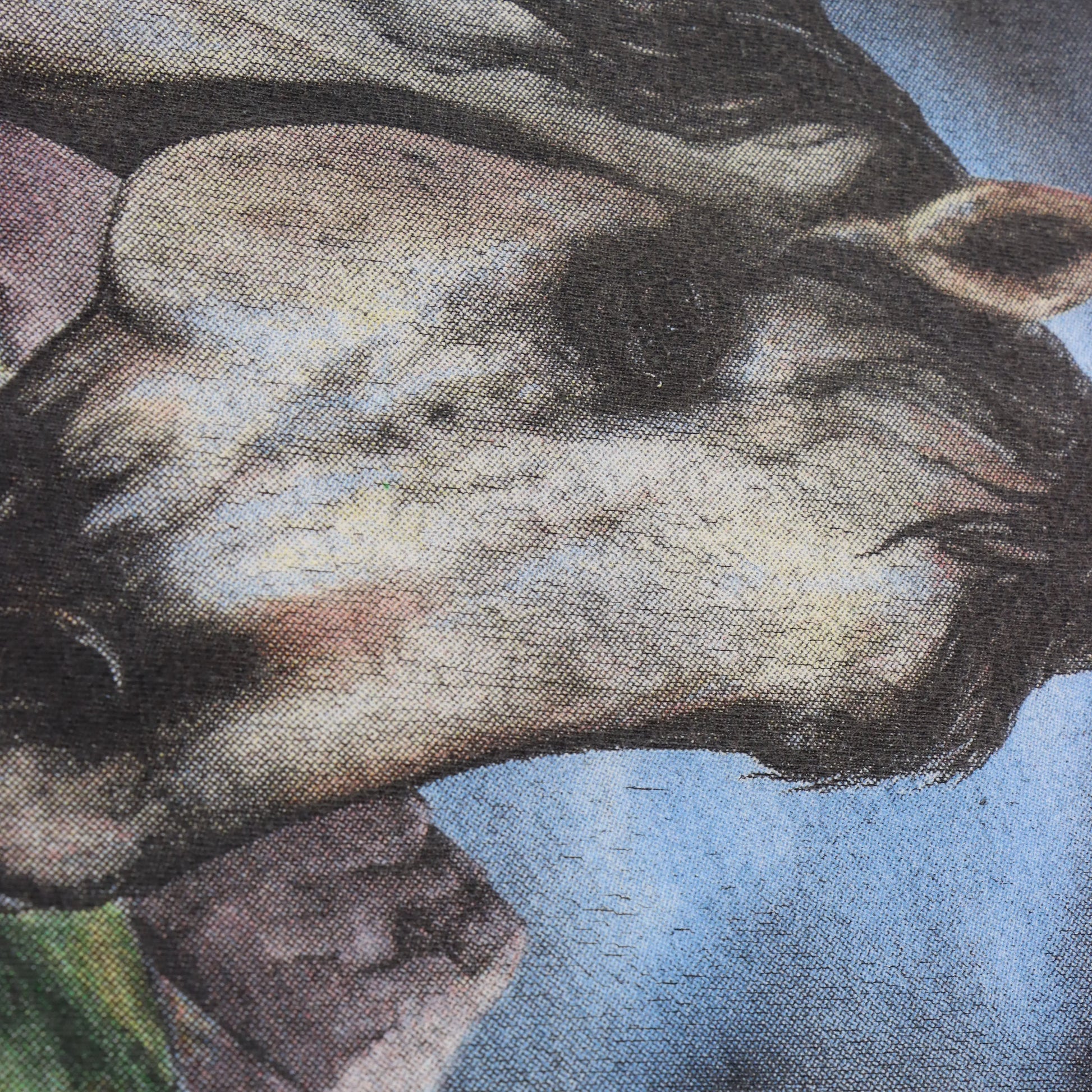 Cheyenne Rodeo 1997 "The Tradition Continues" Horses All Over Print Single Stitch T-Shirt (L) Vintage Sole Melbourne