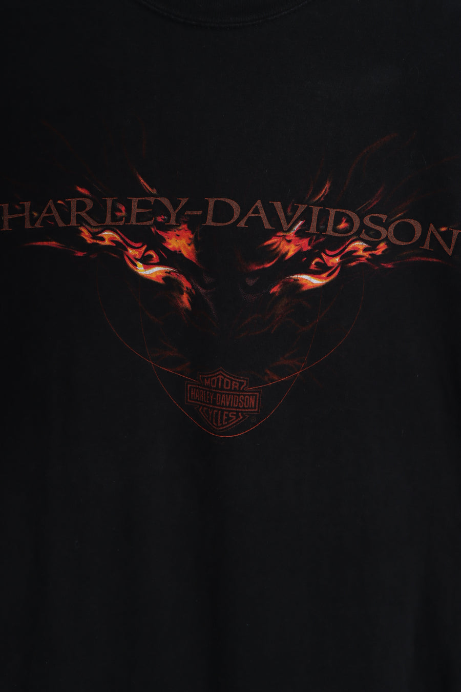 HARLEY DAVIDSON Skip Fordyce Riverside CA Flaming Eagle Tee (L)