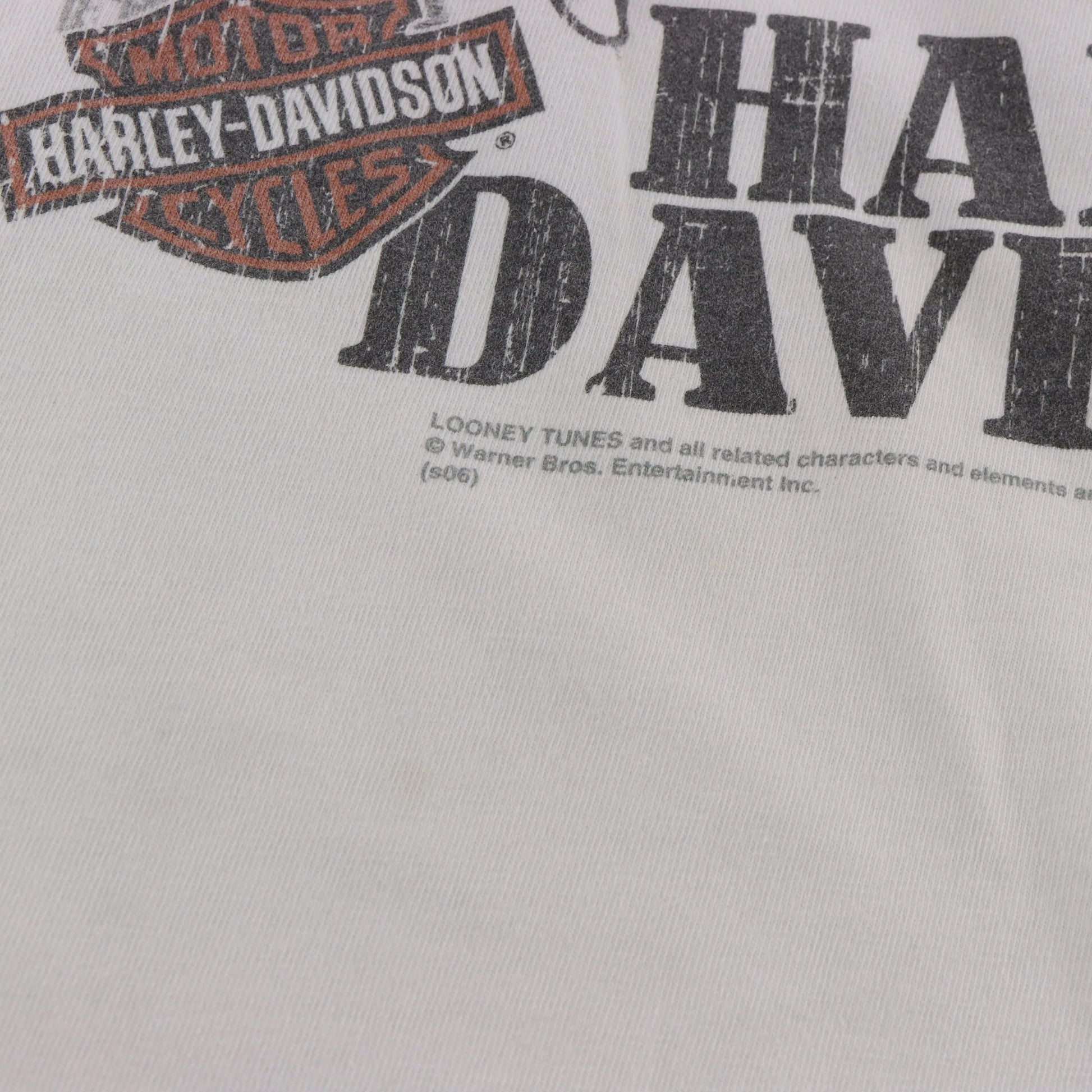 HARLEY DAVIDSON x LOONEY TUNES Taz & Grand Canyon Double Sided USA Made Tee (M-L) ***COCO Vintage Sole Melbourne