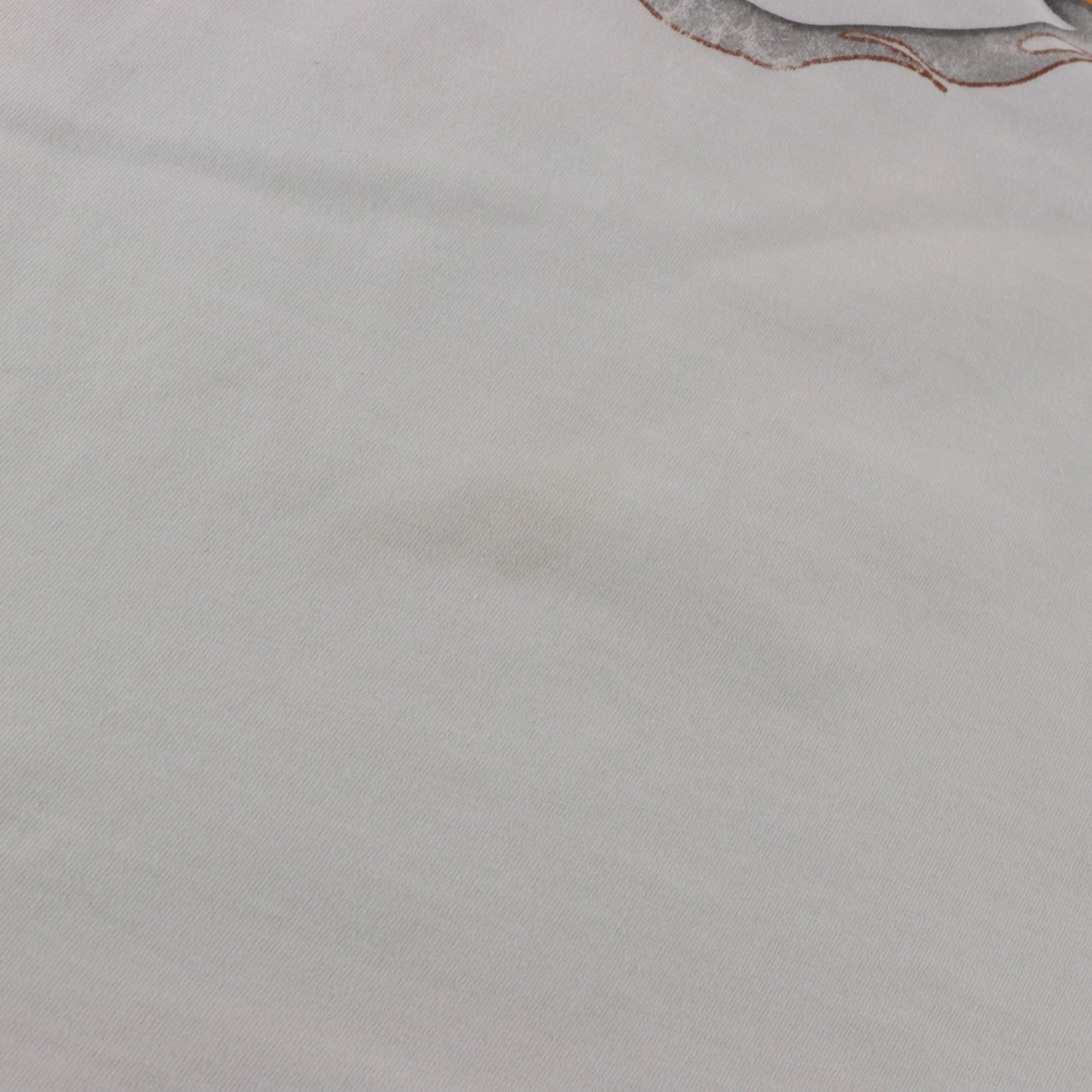 HARLEY DAVIDSON x LOONEY TUNES Taz & Grand Canyon Double Sided USA Made Tee (M-L) ***COCO Vintage Sole Melbourne