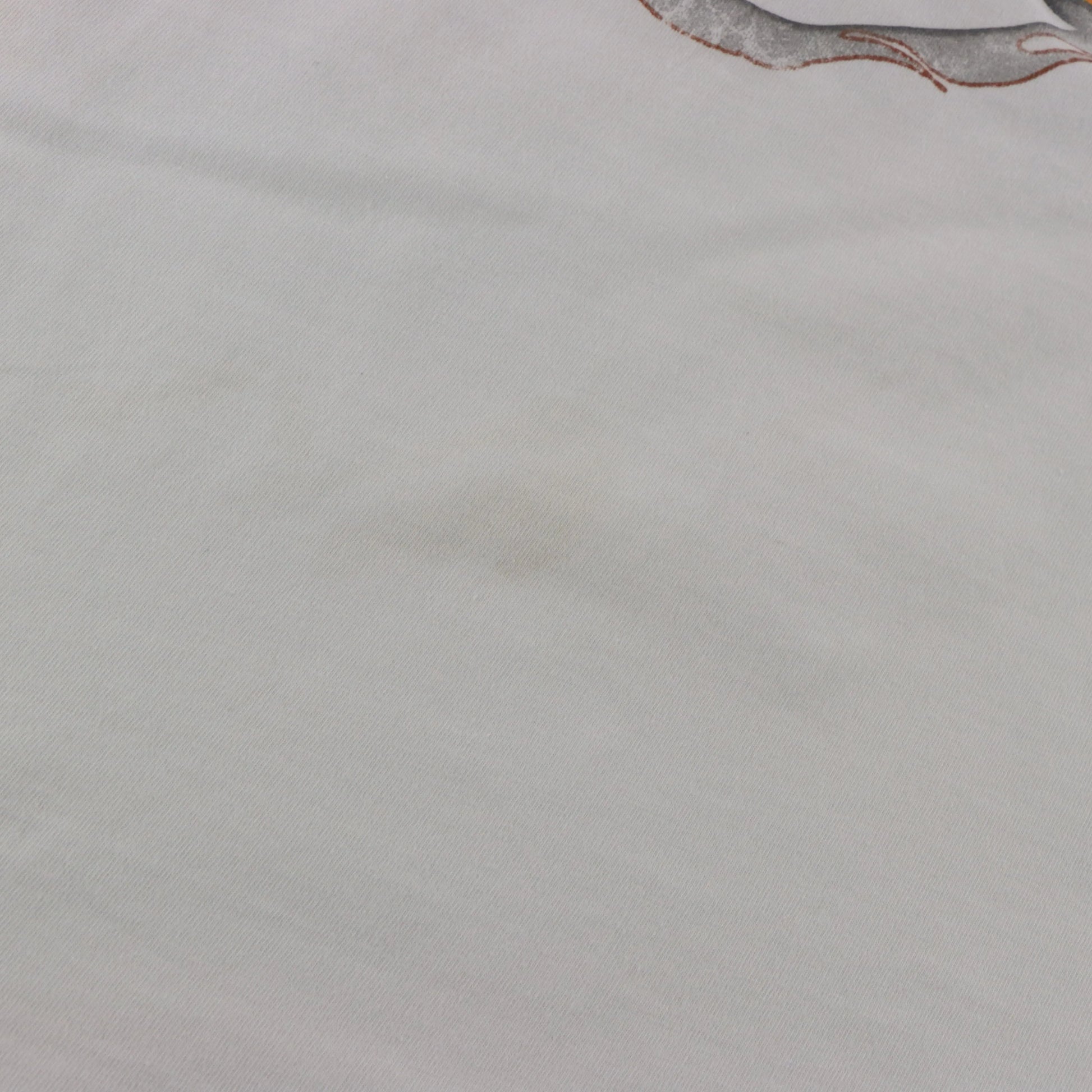 HARLEY DAVIDSON x LOONEY TUNES Taz & Grand Canyon Double Sided USA Made Tee (M-L) ***COCO Vintage Sole Melbourne