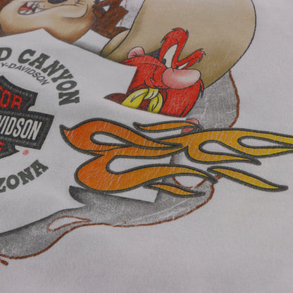 HARLEY DAVIDSON x LOONEY TUNES Taz & Grand Canyon Double Sided USA Made Tee (M-L) ***COCO Vintage Sole Melbourne