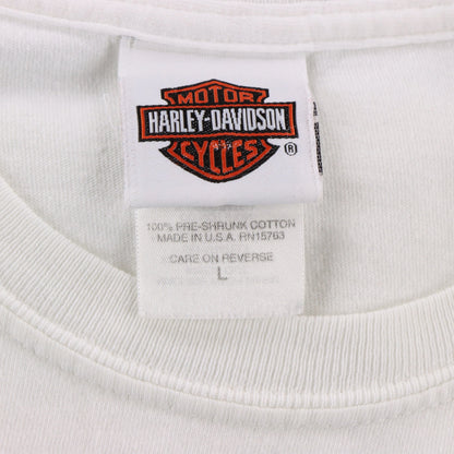 HARLEY DAVIDSON x LOONEY TUNES Taz & Grand Canyon Double Sided USA Made Tee (M-L) ***COCO Vintage Sole Melbourne