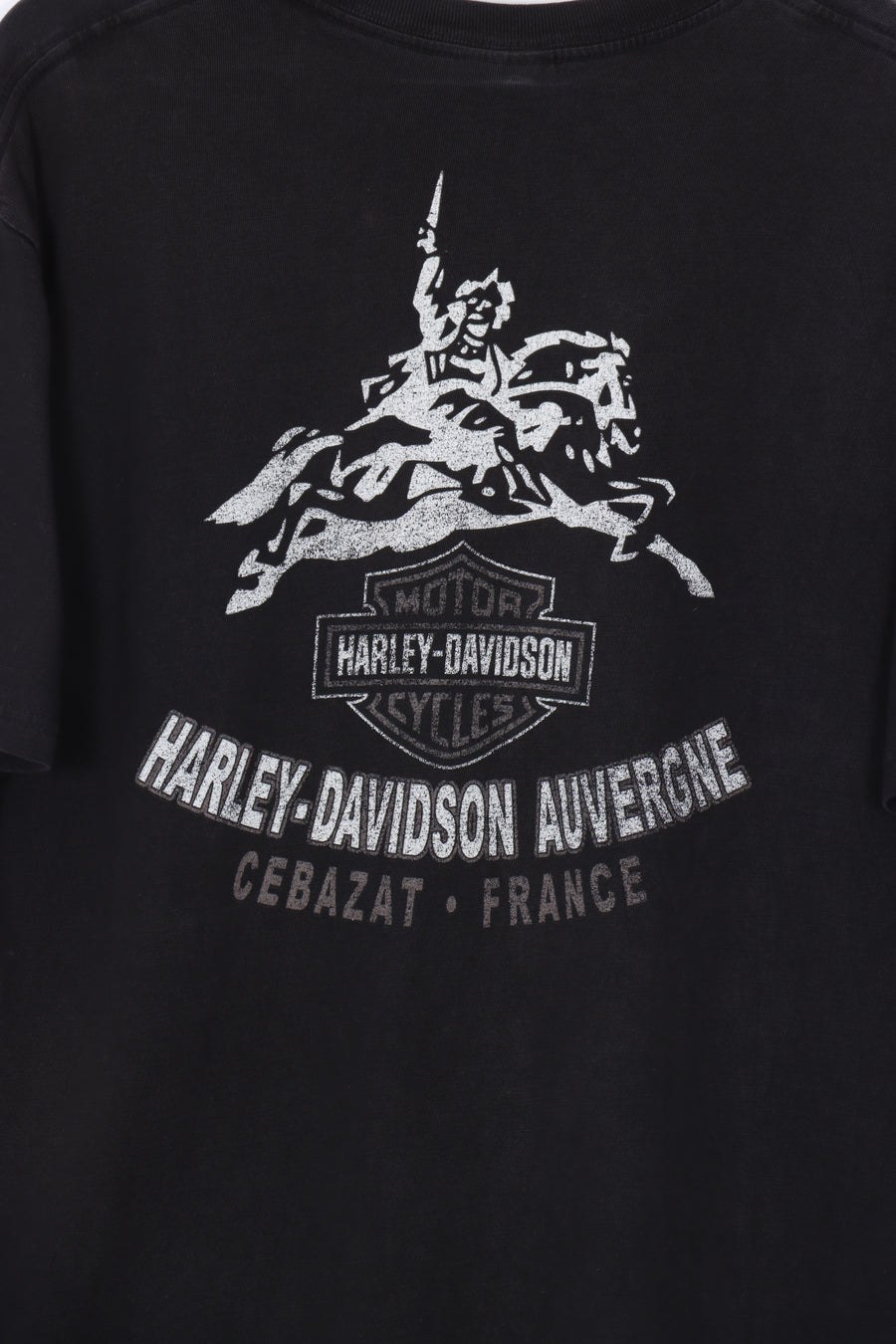 HARLEY DAVIDSON Eagle & Engine Big Logo Graphic Tee (M-L)