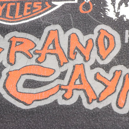 HARLEY DAVIDSON "100 Years And Still Evolving!" Cayman Islands Pirate Faded Black Tee USA Made (XL)