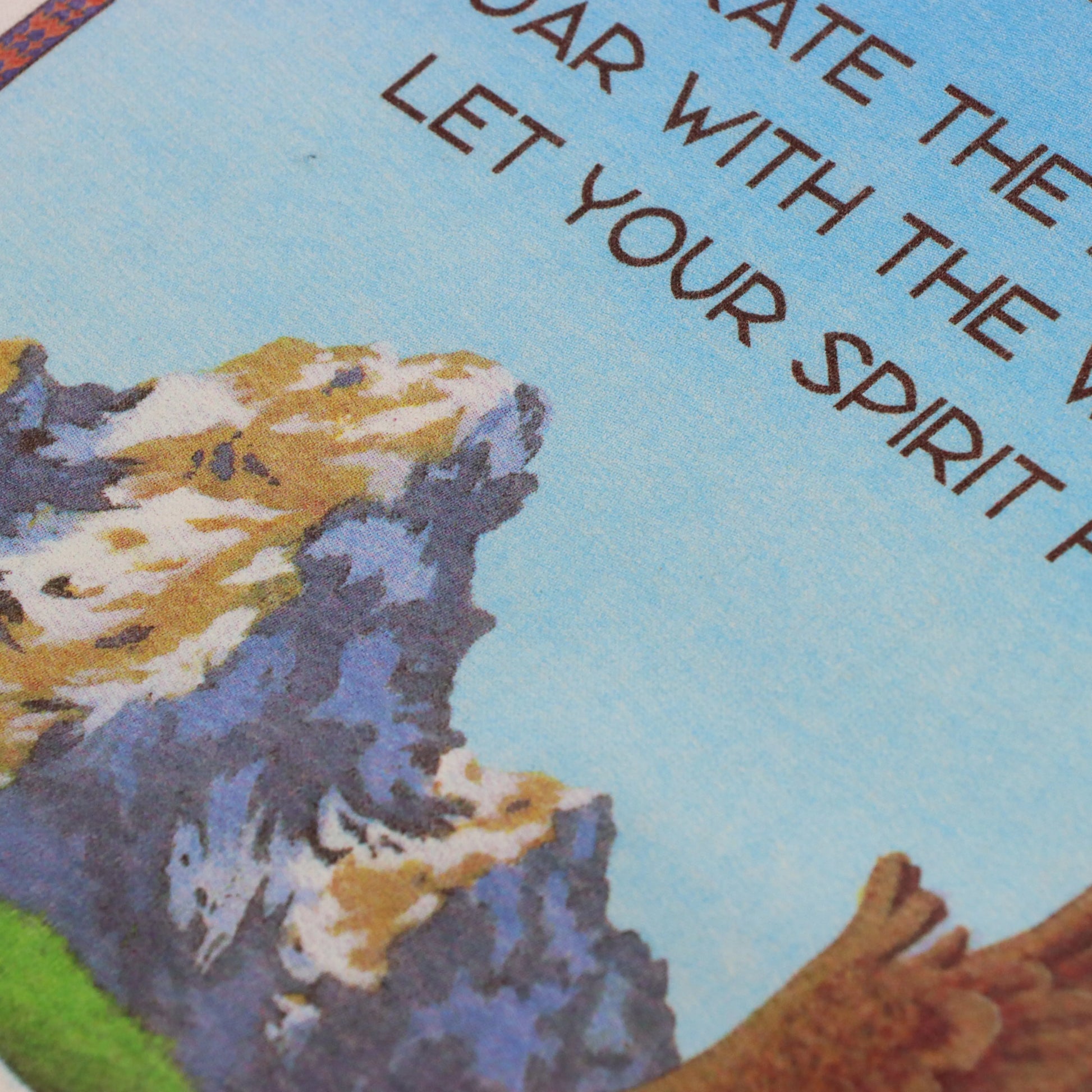 1994 Bald Eagle 'Let Your Spirit Fly' Single Stitch USA Made T-Shirt (2XL) - Vintage Sole Melbourne