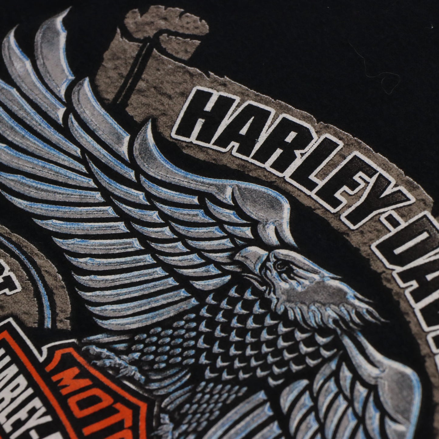 Vintage HARLEY DAVIDSON Eagle Singapore Long Sleeve Tee (L-XL)