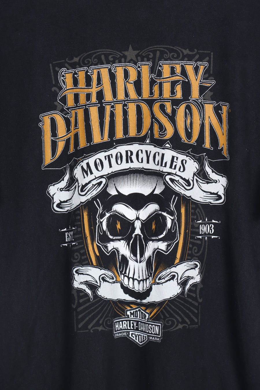 HARLEY DAVIDSON Skull High Desert Idaho Front & Back Tee (S-M)