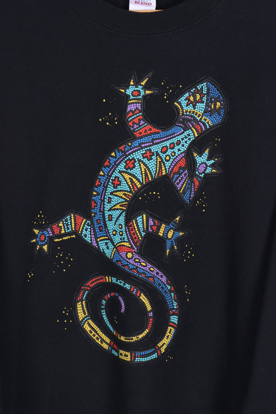 Rainbow Gecko Tewa Tees Dot Art Puff Print Tee (XL)