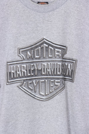 HARLEY DAVIDSON USA Flag & Eagle Puff Print Tee (S)