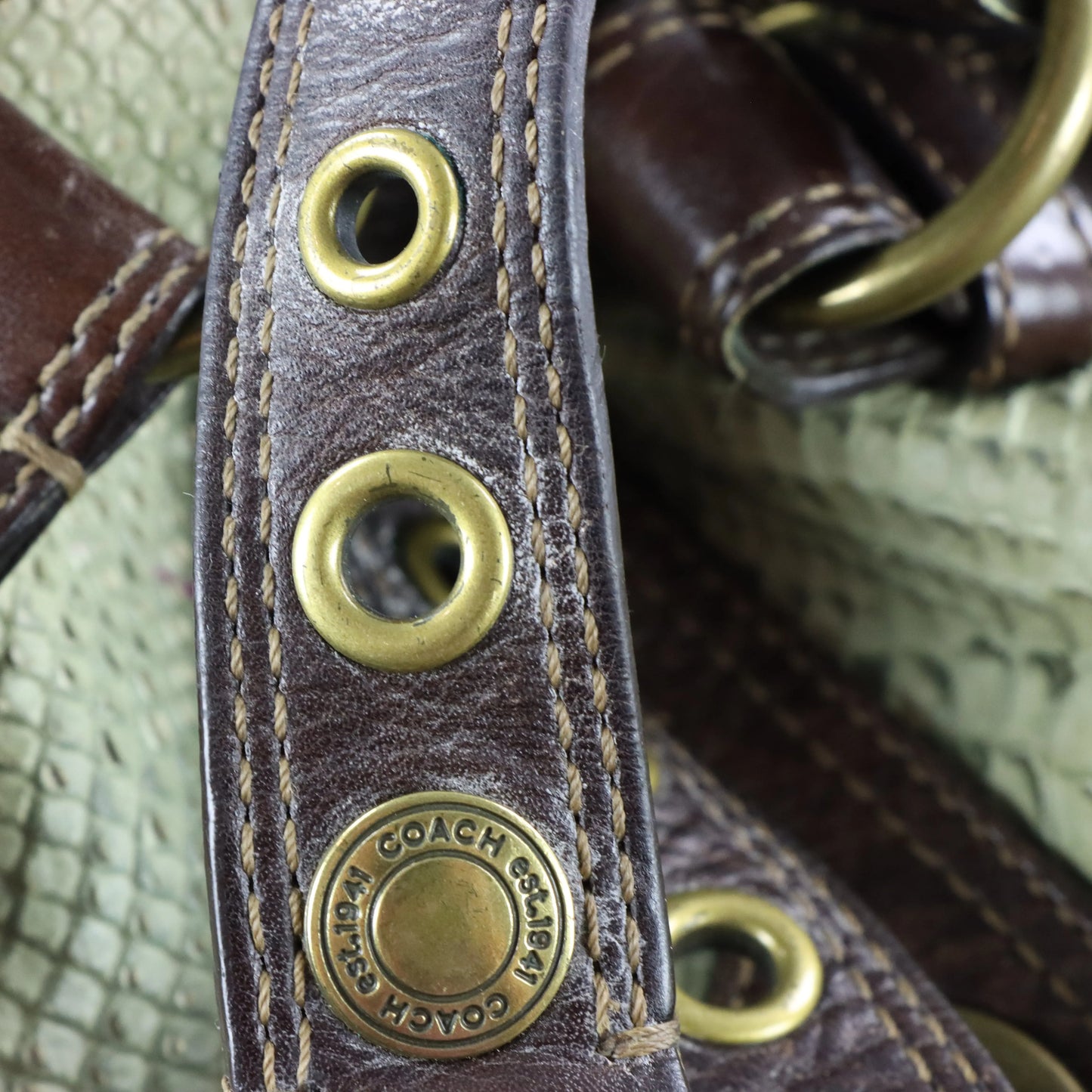 COACH 'Chelsea' 11008 Sage Green Python Embossed Leather Buckle Shoulder Bag