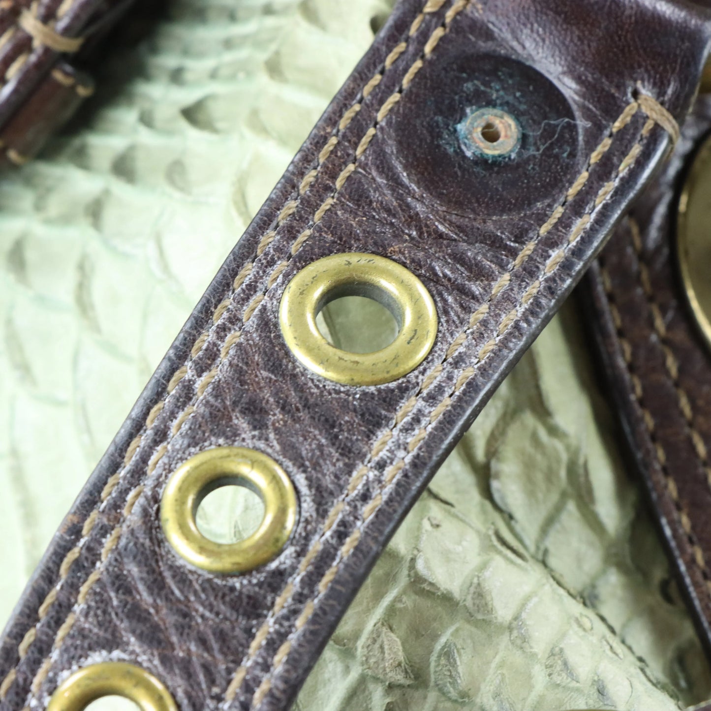 COACH 'Chelsea' 11008 Sage Green Python Embossed Leather Buckle Shoulder Bag