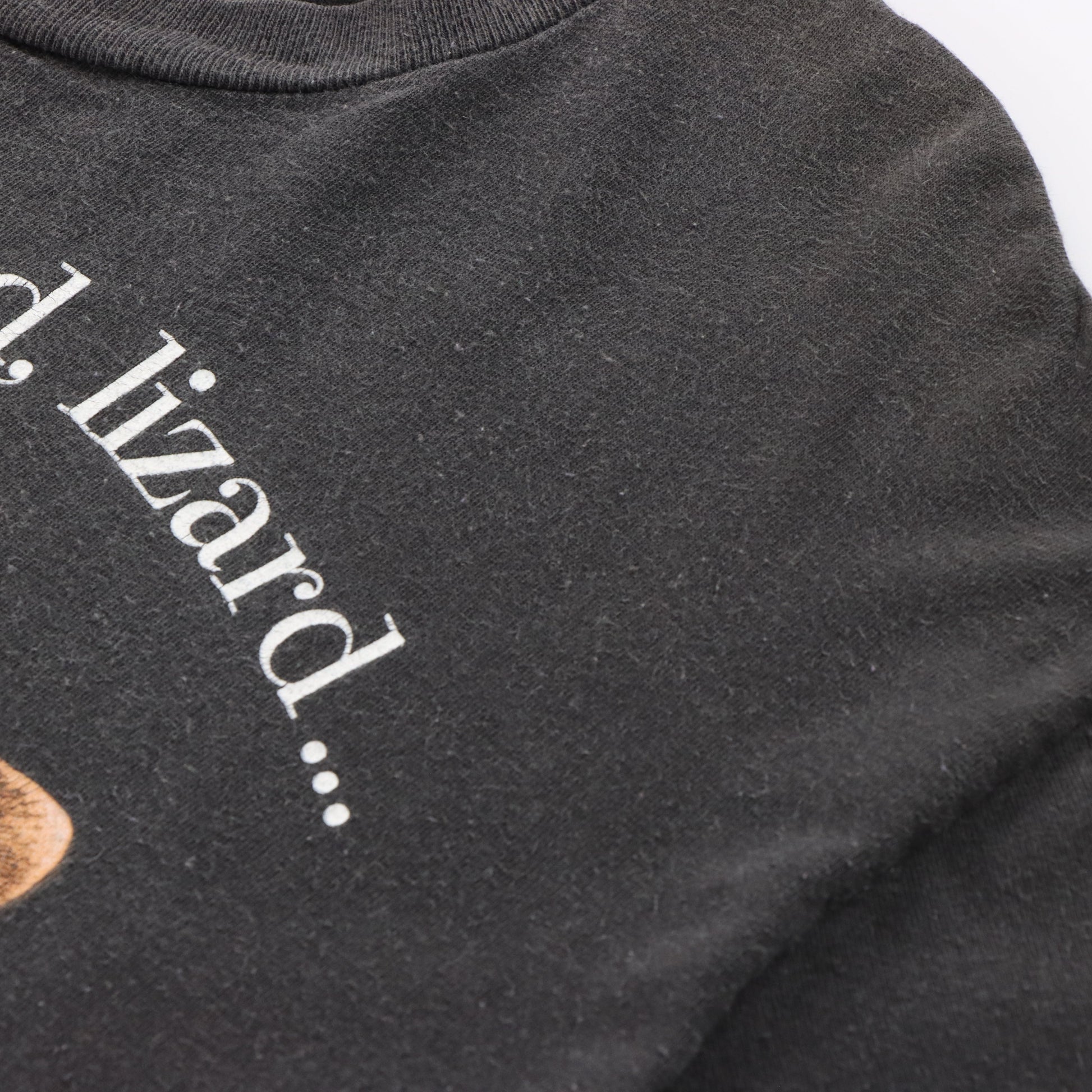 1998 Vintage TACO BELL Chihuahua "Here Lizard, Lizard, Lizard" T-Shirt USA Made (XXL) Vintage Sole Melbourne
