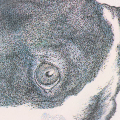 Vintage 1989 Boston Terrier Dog Sketch Single Stitch White T-Shirt (M-L)