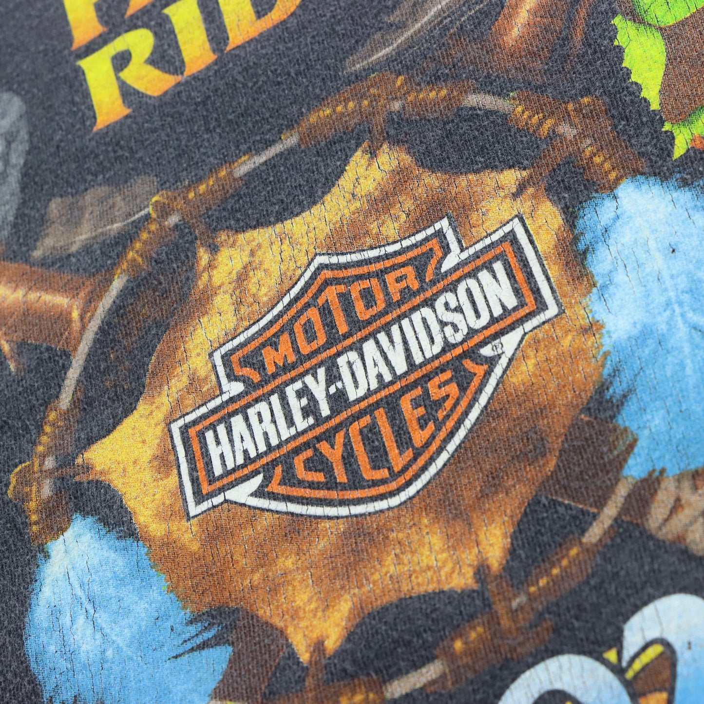 Vintage 2002 HARLEY DAVIDSON Tomahawk Fall Ride Faded Black Tee (XXXL) Vintage Sole Melbourne