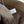 COACH 'Edie' 33547 Beige Leather Hobo Bag