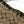COACH 'Penelope' F16538 Jacquard Hobo Bag