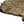 COACH 'Penelope' F16538 Jacquard Hobo Bag