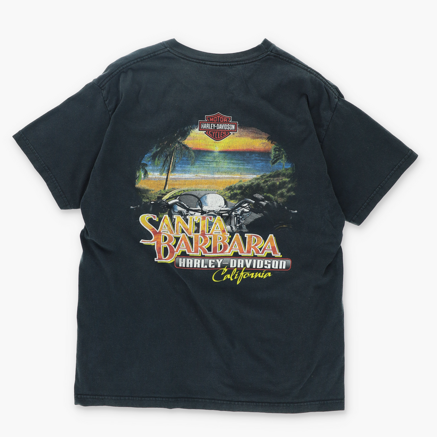 HARLEY 'Live to Ride Ride to Live' Skull and Flames T-Shirt (L)