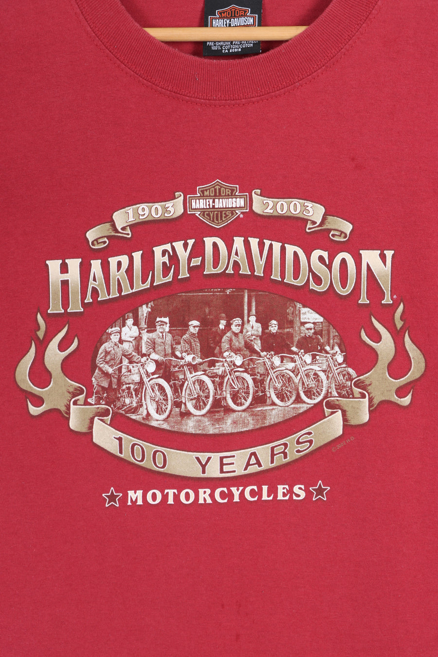 HARLEY DAVIDSON Ramsay's 100 Years T-Shirt Canada Made (M-L)