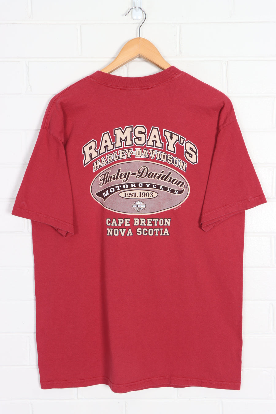 HARLEY DAVIDSON Ramsay's 100 Years T-Shirt Canada Made (M-L) - Vintage Sole Melbourne