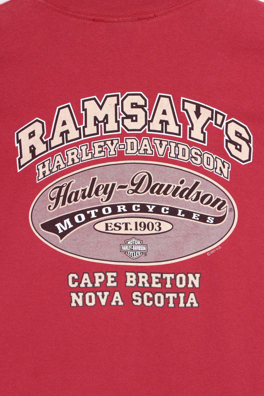HARLEY DAVIDSON Ramsay's 100 Years T-Shirt Canada Made (M-L)