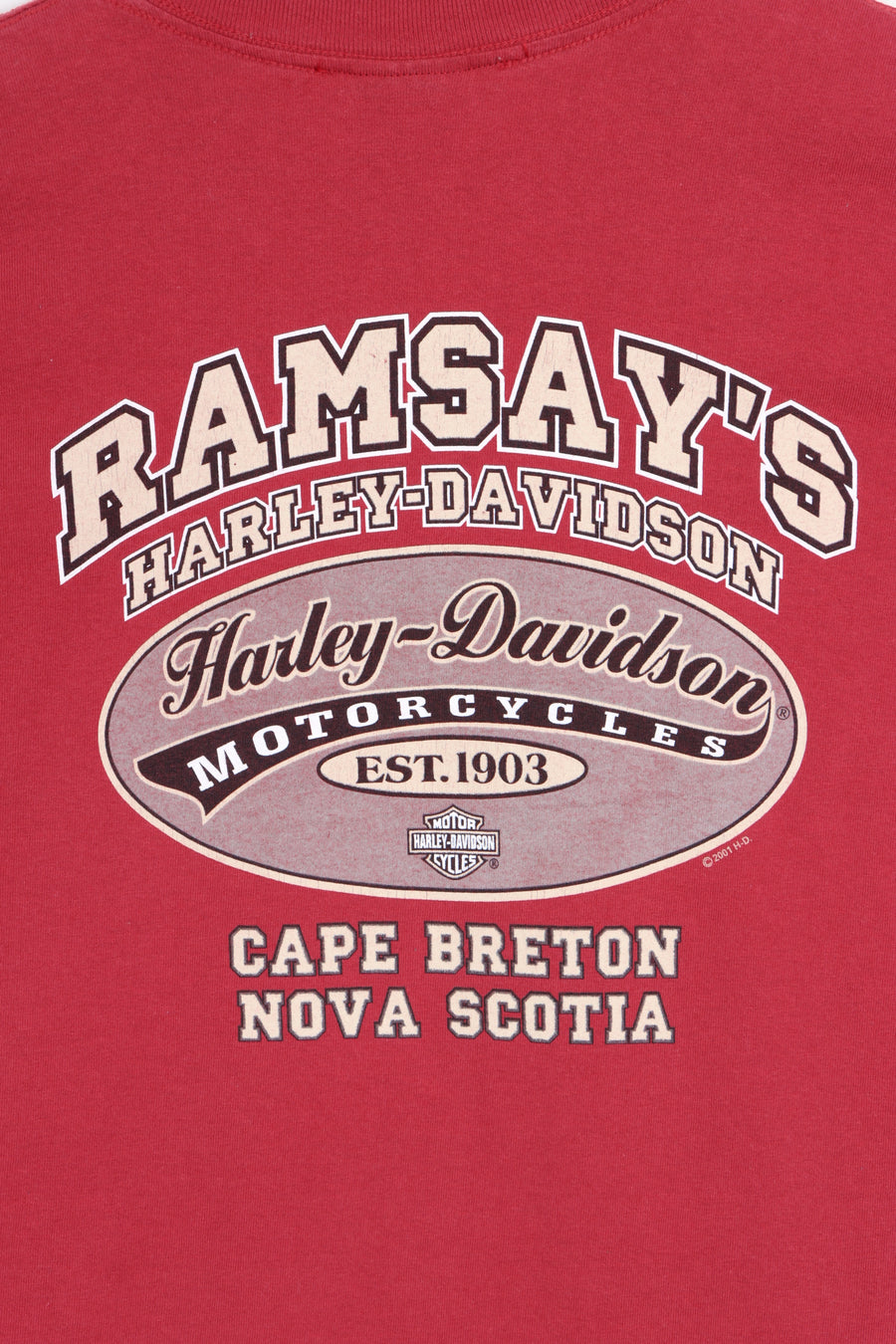 HARLEY DAVIDSON Ramsay's 100 Years T-Shirt Canada Made (M-L) - Vintage Sole Melbourne