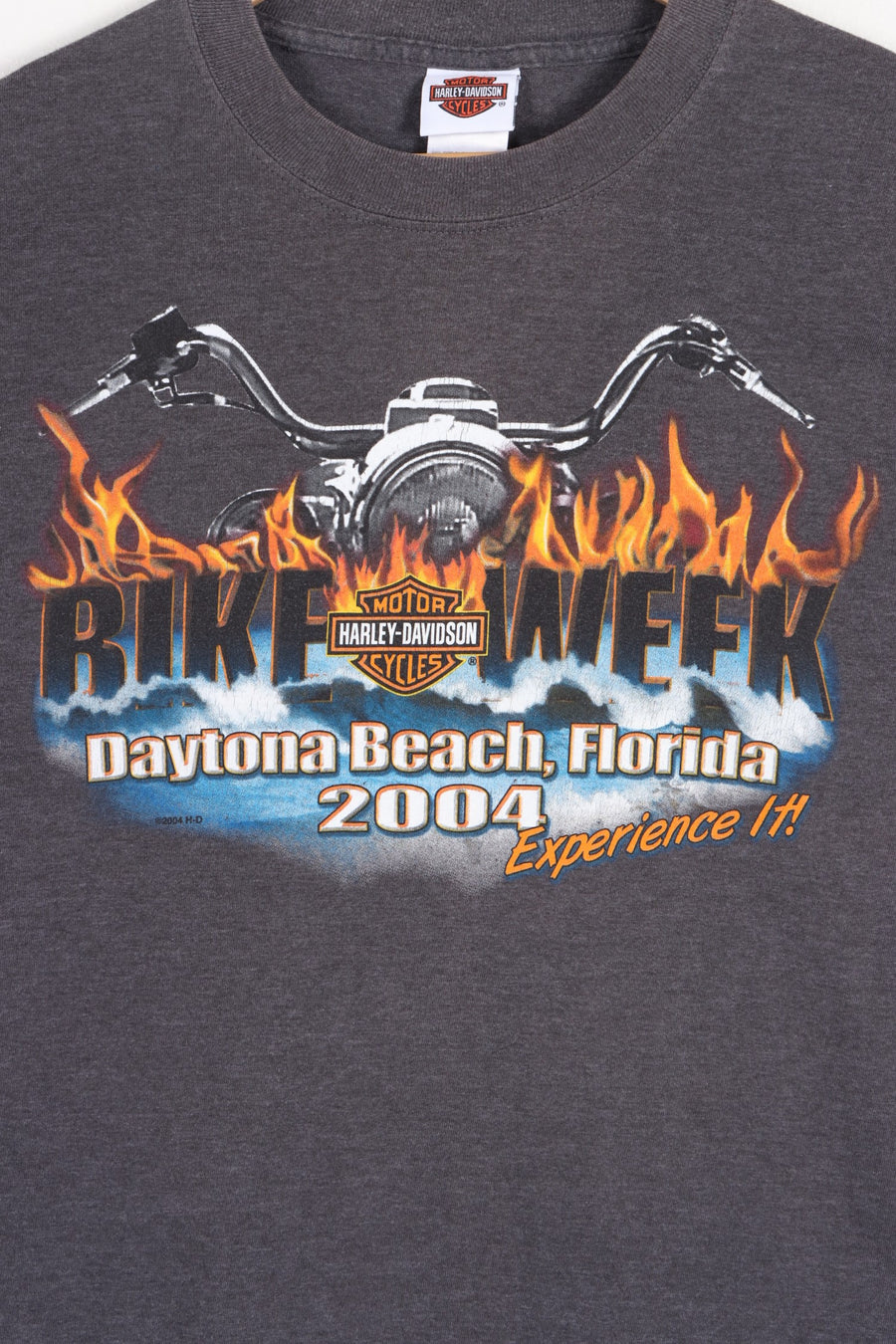 HARLEY DAVIDSON Bike Week Riding Gator Front Back T-Shirt USA Made (L)
