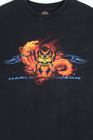 HARLEY DAVIDSON Barnett Sunset & Flames Front Back Tee USA Made (L)