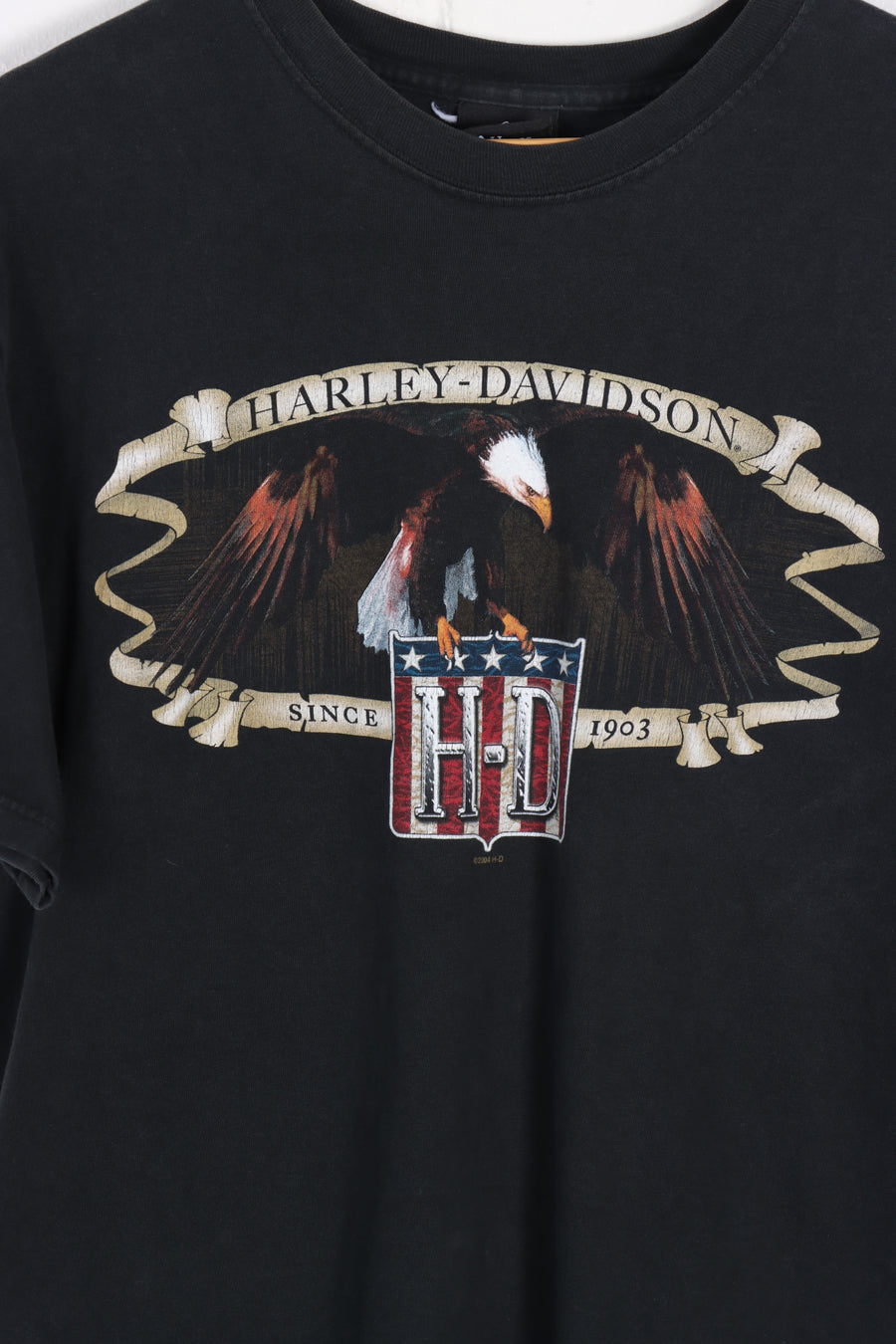 HARLEY DAVIDSON American Eagle Flag Columbia Graphic Tee (M-L)