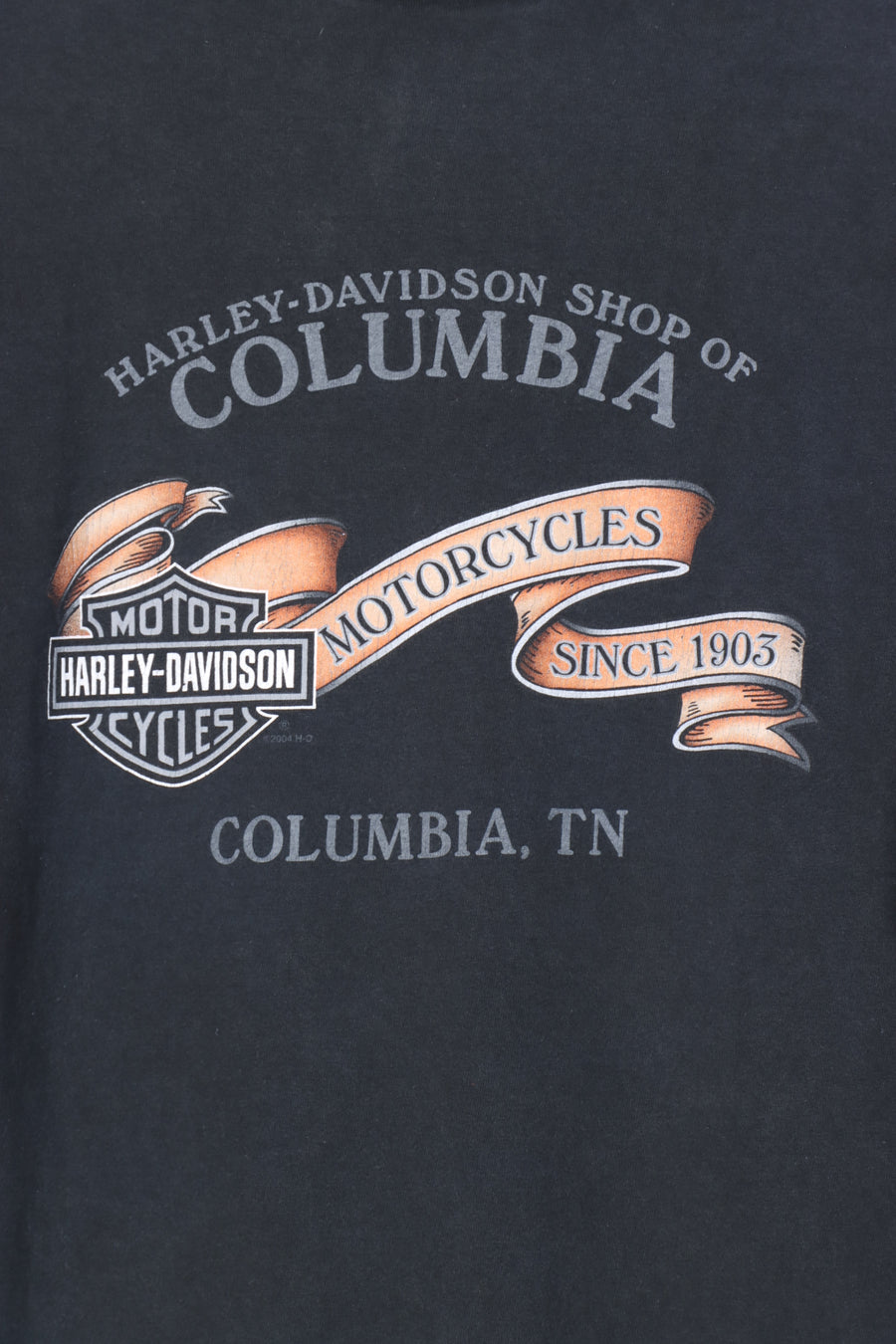 HARLEY DAVIDSON American Eagle Flag Columbia Graphic Tee (M-L)